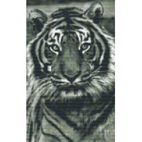 Tiger 808086